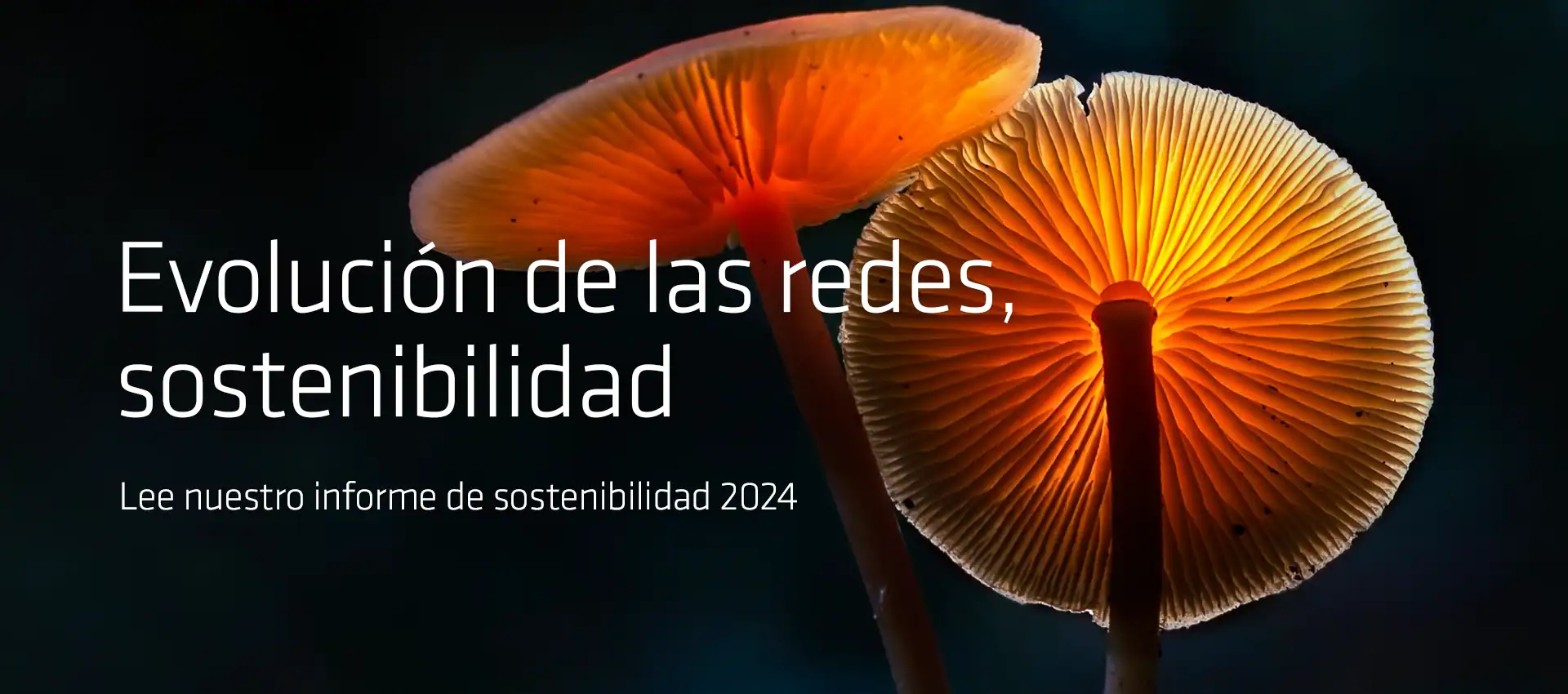 Technetix sustainability report